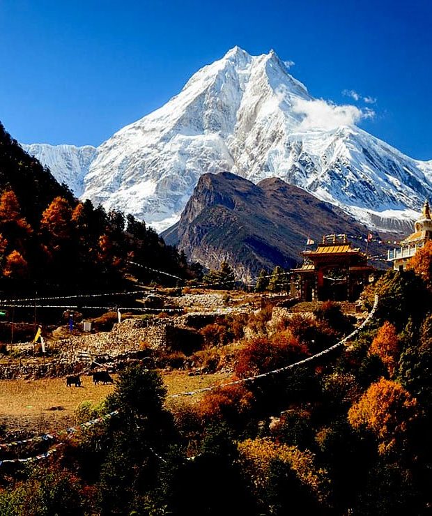 manaslu mount